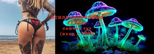 хмурый Михайловск