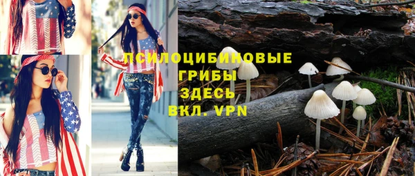 дживик Михайловка