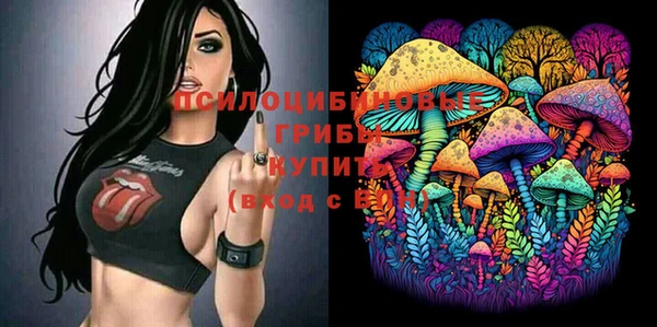 хмурый Михайловск
