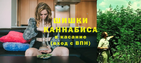 хмурый Михайловск