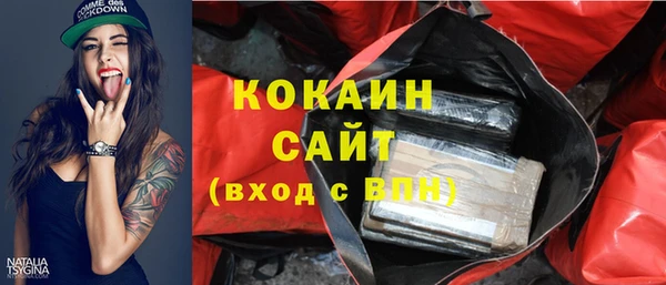 хмурый Михайловск