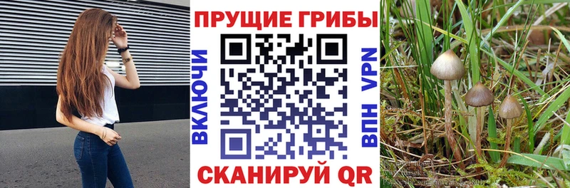 MEGA рабочий сайт  Еманжелинск  Галлюциногенные грибы MAGIC MUSHROOMS 
